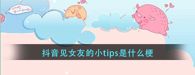 抖音见女友的小tips是什么梗-抖音见女友的小tips梗的意思