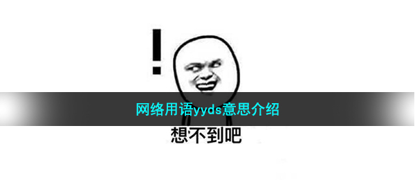 网络用语yyds什么意思-yyds梗来源出处介绍