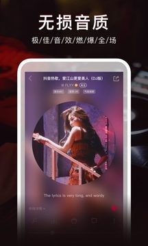 dj秀车载版截图1